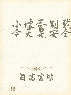 小坏蛋别戴套了今天是安全期封面