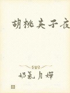 胡桃夹子夜未眠