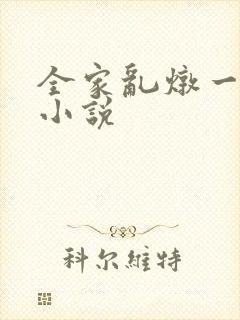 全家乱炖一锅烩小说