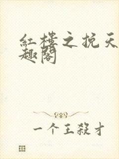 红楼之挽天倾笔趣阁