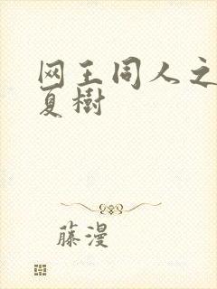 网王同人之桃生夏树