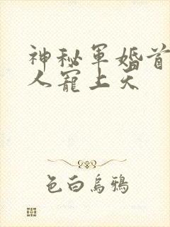 神秘军婚首长大人宠上天