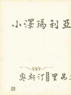 小泽玛利亚作品封面