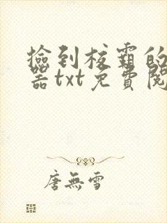 捡到校霸的遥控器txt免费阅读by阳阳