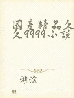 国产精品久久久久9999小说