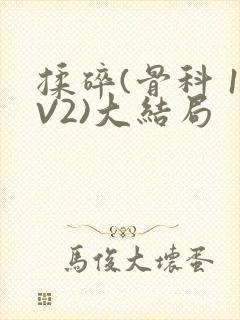 揉碎(骨科 1V2)大结局