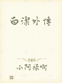 白洁外传