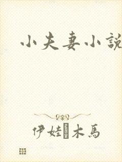 小夫妻小说封面