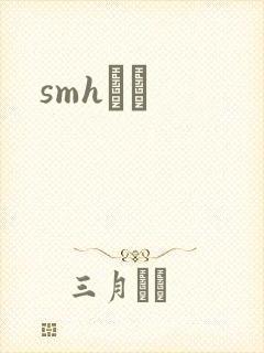 smhС˵