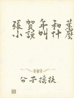 张贺年和叶繁姿小说叫什么名字