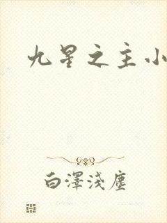九星之主小说