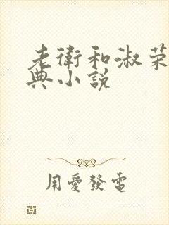 老卫和淑荣的经典小说