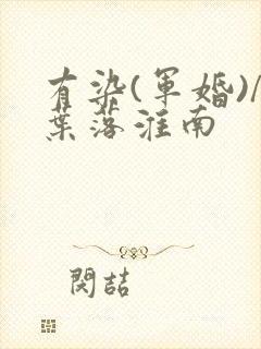 有染(军婚)/叶落淮南