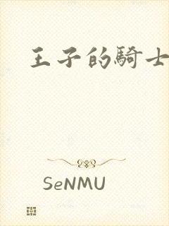 王子的骑士