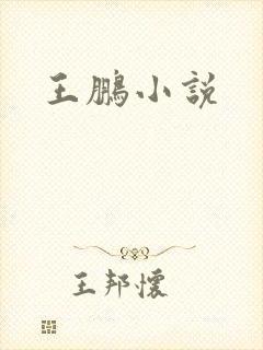 王鹏小说