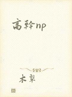 高干np封面