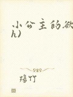 小公主的欲奴(h)