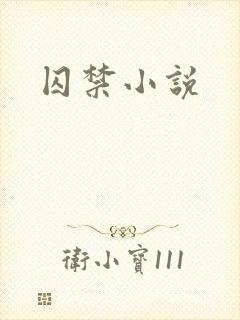 囚禁小说
