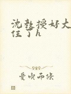 沈教授好大含不住了h