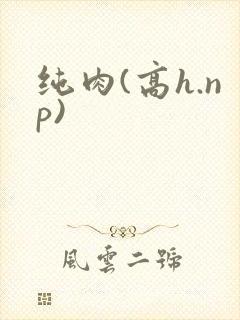 纯肉(高h.np)