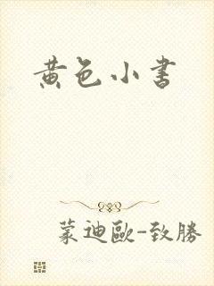 黄色小书