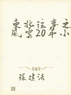 东北往事之黑道风云20年小说