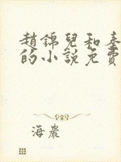 赵锦儿和秦慕修的小说免费阅读全文