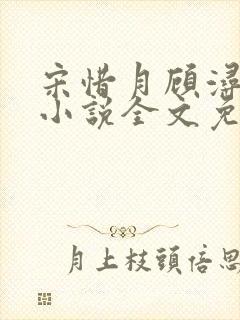 宋惜月顾浔渊的小说全文免费阅读