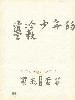 清冷少年的严厉管教