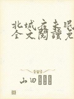 北城夜未眠小说全文阅读免费封面