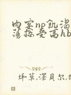 肉宴np饥渴放荡总受高hbl封面