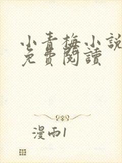 小青梅小说全文免费阅读