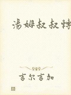 汤姆叔叔转接口