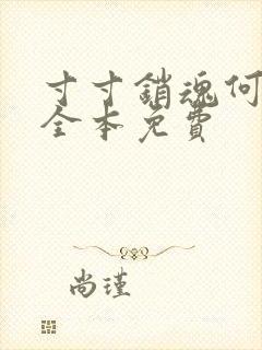 寸寸销魂何生祥全本免费