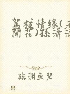 驾校情缘(老树开花)孙潇潇第一次趣笔阁