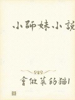 《小师妹小说》小说封面