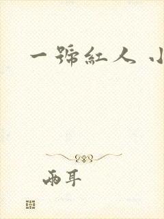 一号红人 小说