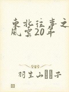 东北往事之黑道风云20年