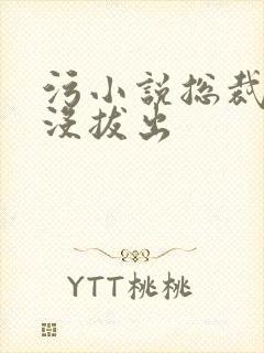 污小说总裁整夜没拔出