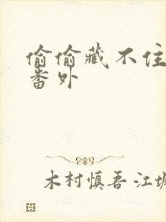 偷偷藏不住新婚番外