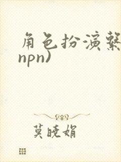 角色扮演系统(npn)