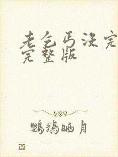 老乞丐没完没了完整版