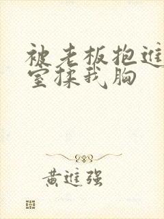 被老板抱进办公室揉我胸封面