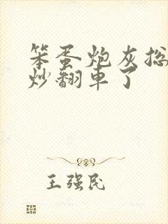 笨蛋炮灰总被爆炒翻车了