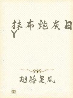 抹布炮灰日记BY
