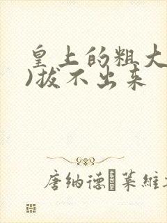 皇上的粗大(h)拔不出来