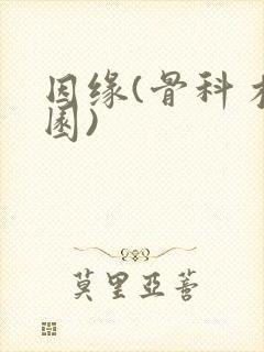 因缘(骨科 校园)