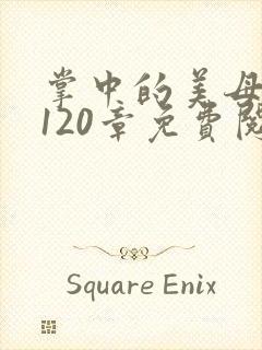 掌中的美母版主120章免费阅读