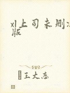 xl上司未删减版