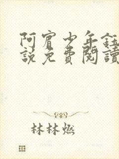 阿宾少年钰慧小说免费阅读笔趣阁